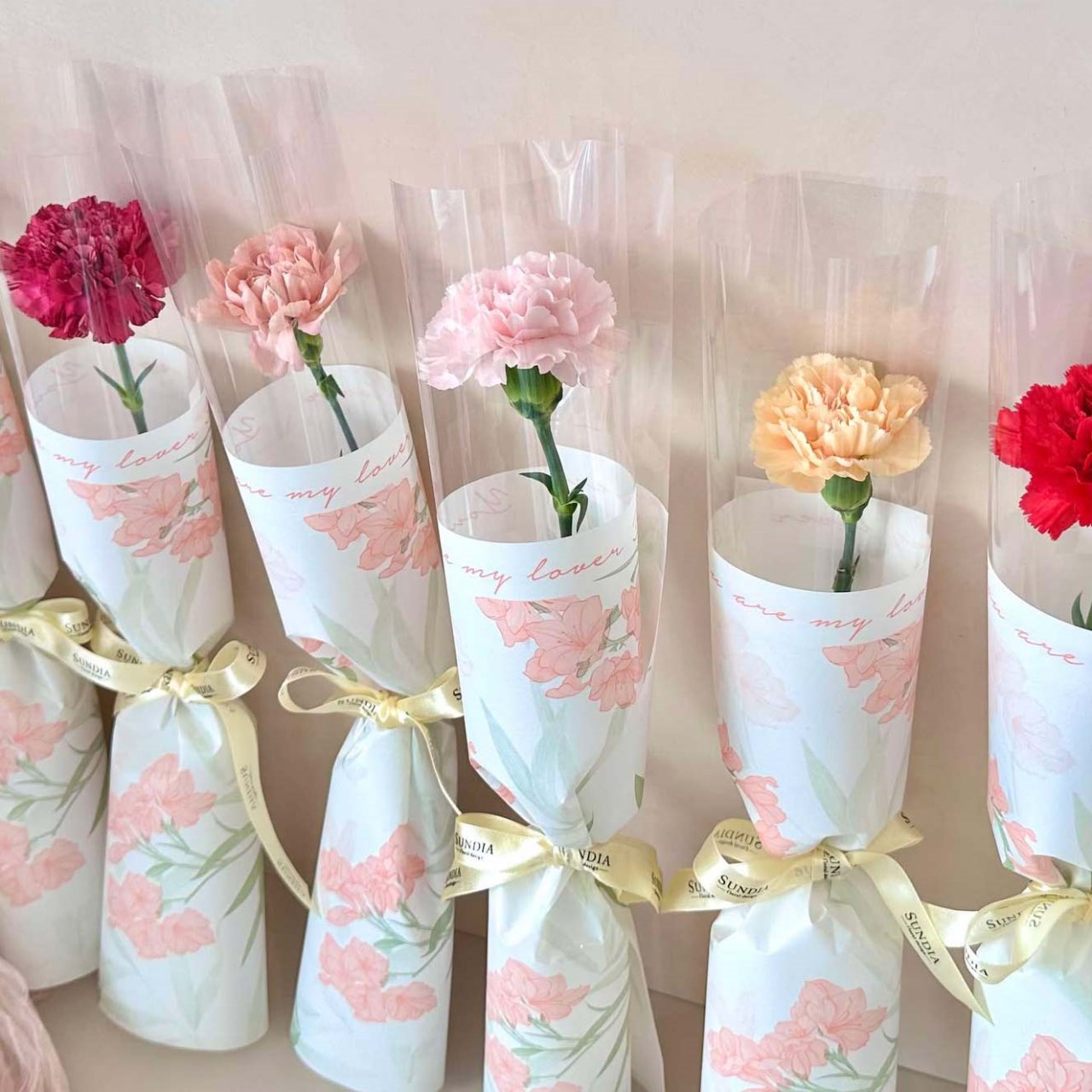 康乃馨單朵鮮花束(心願花卉款) 