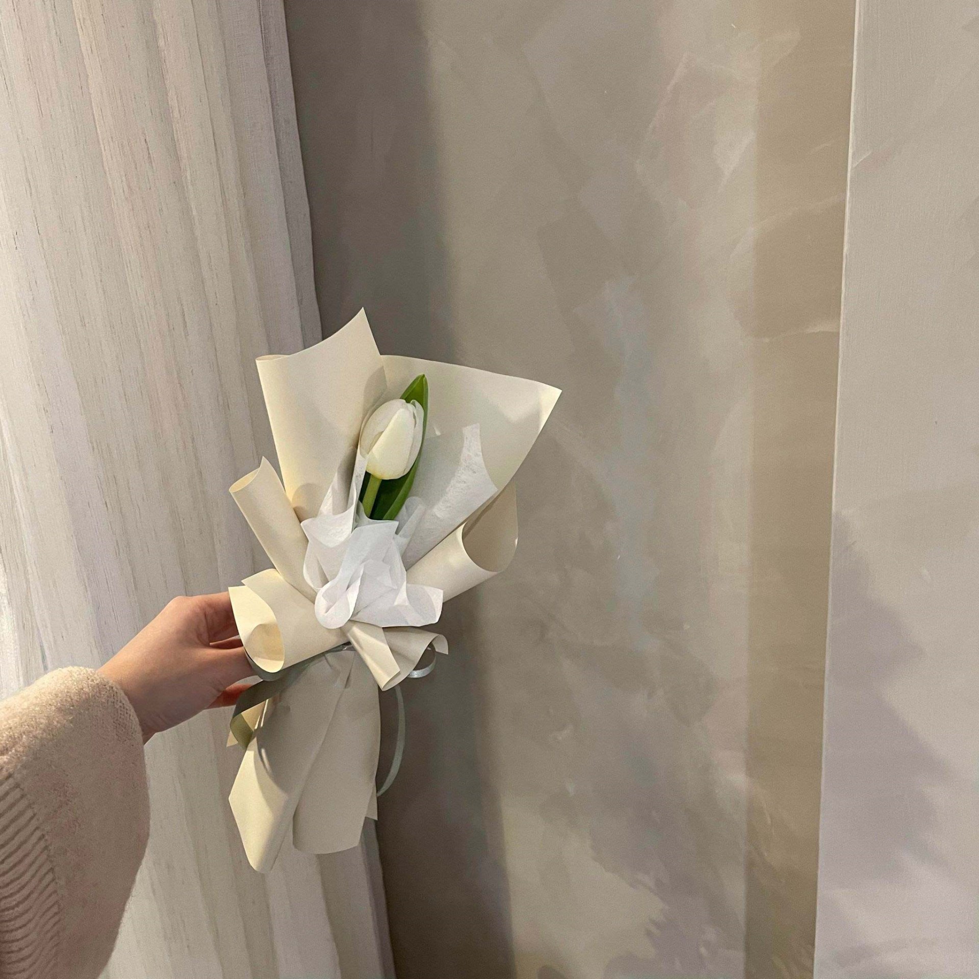 小束鬱金香鮮花束(不挑色)