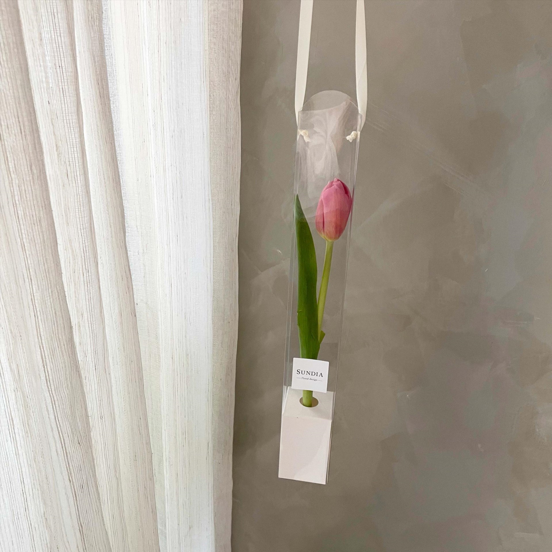 手提單支鬱金香鮮花盒 
