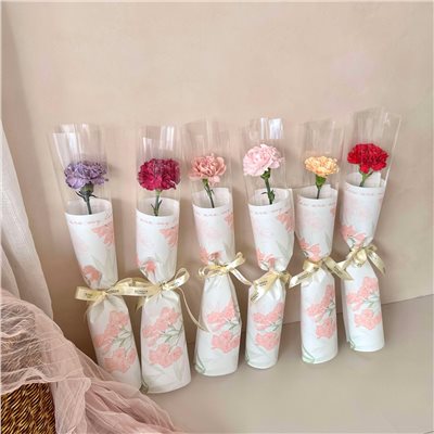 康乃馨單朵鮮花束(心願花卉款) 