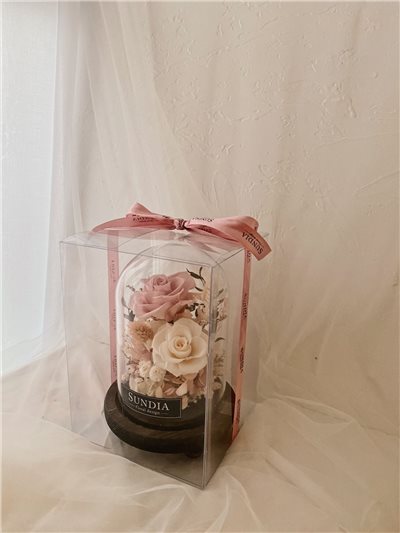 質感透明盒