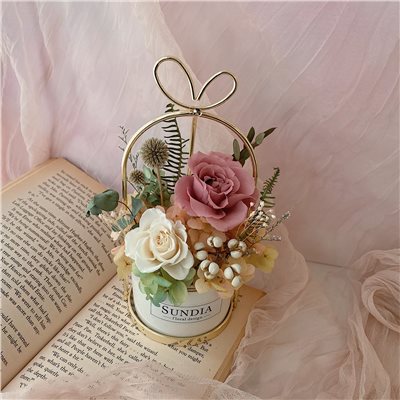 小花園蝴蝶結永生盆花