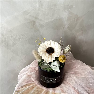 向日葵擴香小盆花